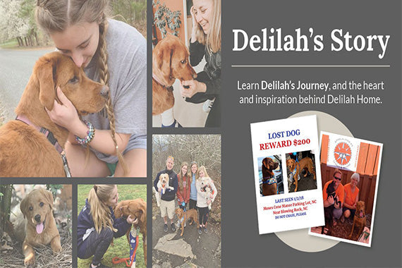 Delilah's Second Gotcha Day! Delilah Home