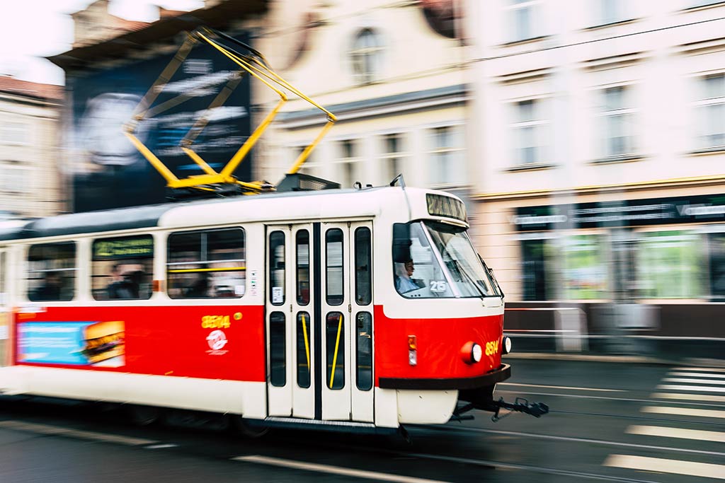 Top Sustainable New Year's Resolutions for 2022