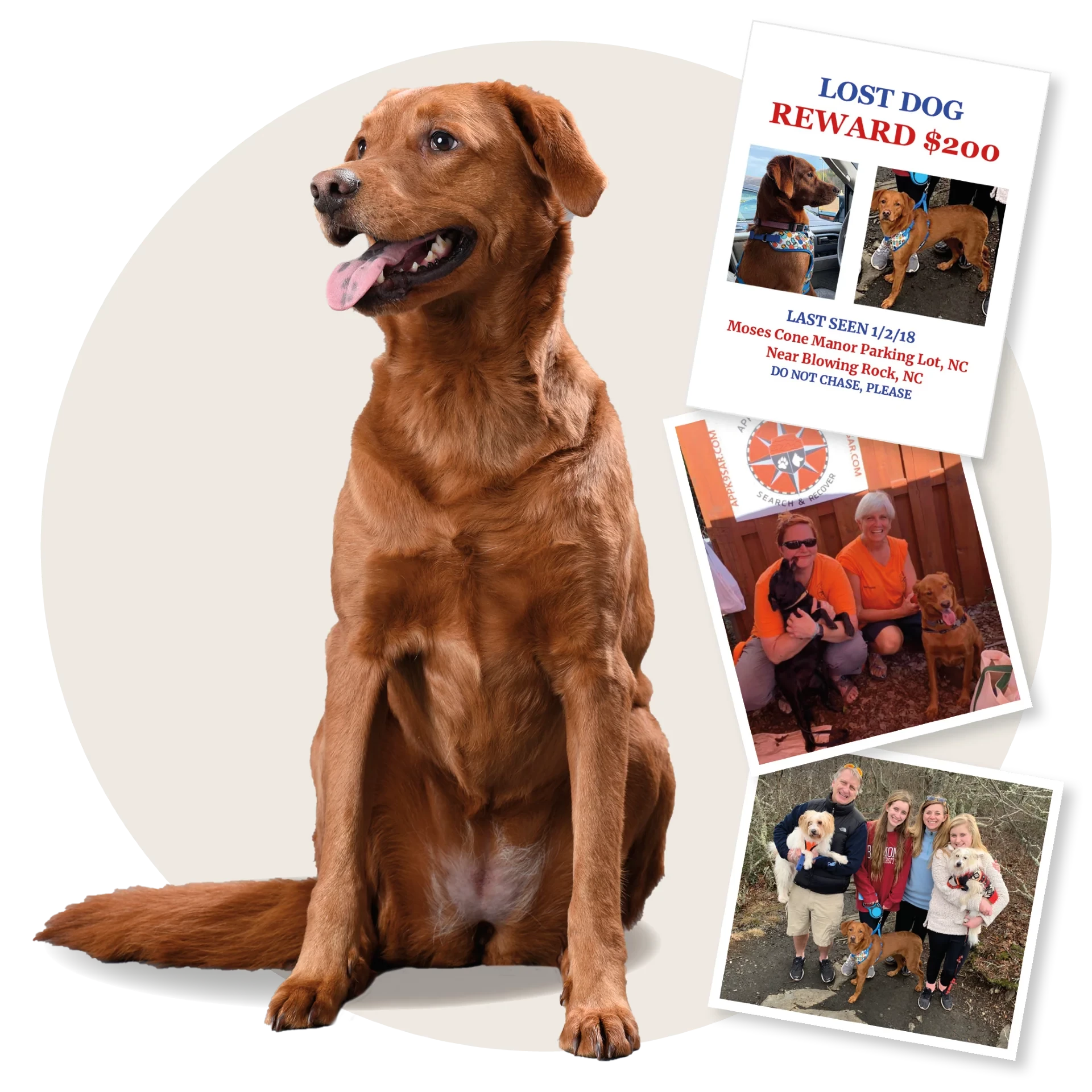 https://www.wcnc.com/article/life/heartwarming/injured-dog-survives-62-bitter-cold-days-in-the-mountains-volunteer-angels-brought-her-home/275-68ee3c63-a2ed-4f97-ae72-959797a07d44