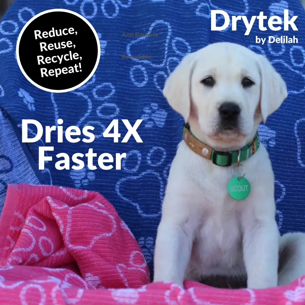 Drytek Dog Towel Delilah Home