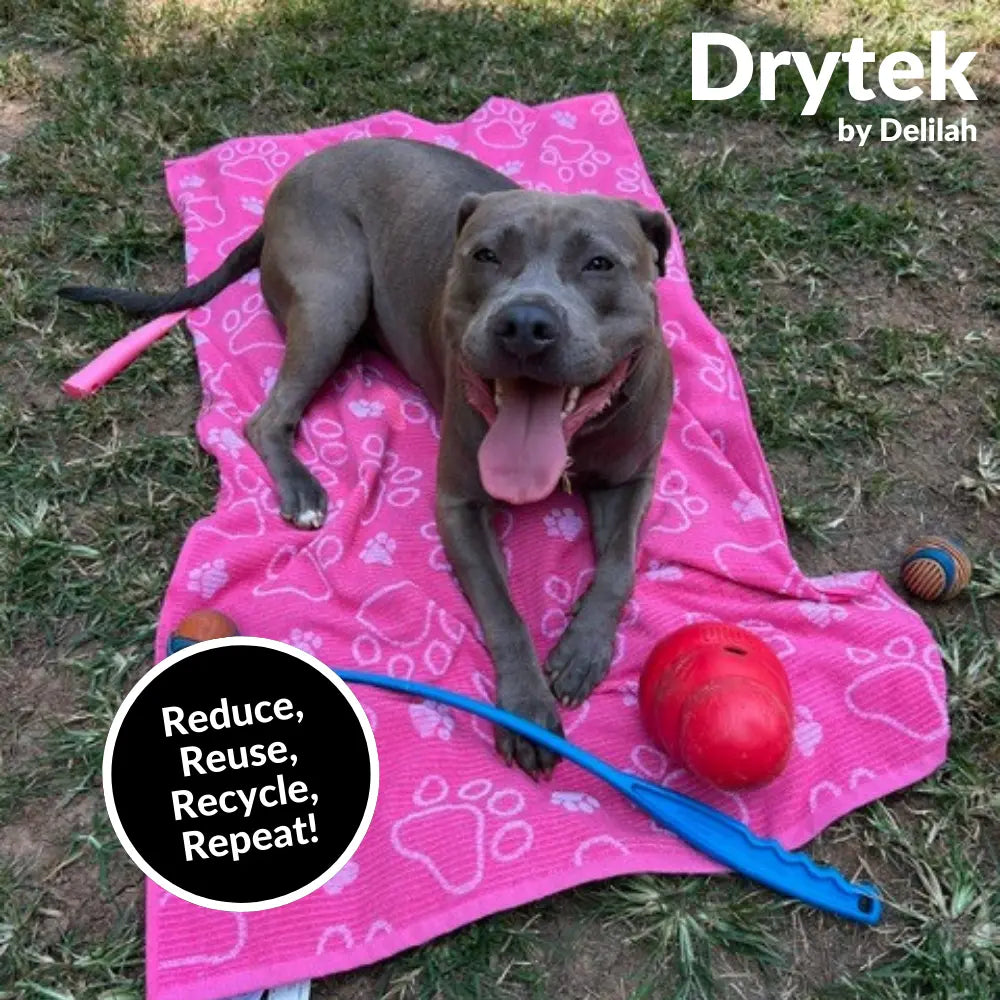 Drytek Dog Towel Delilah Home