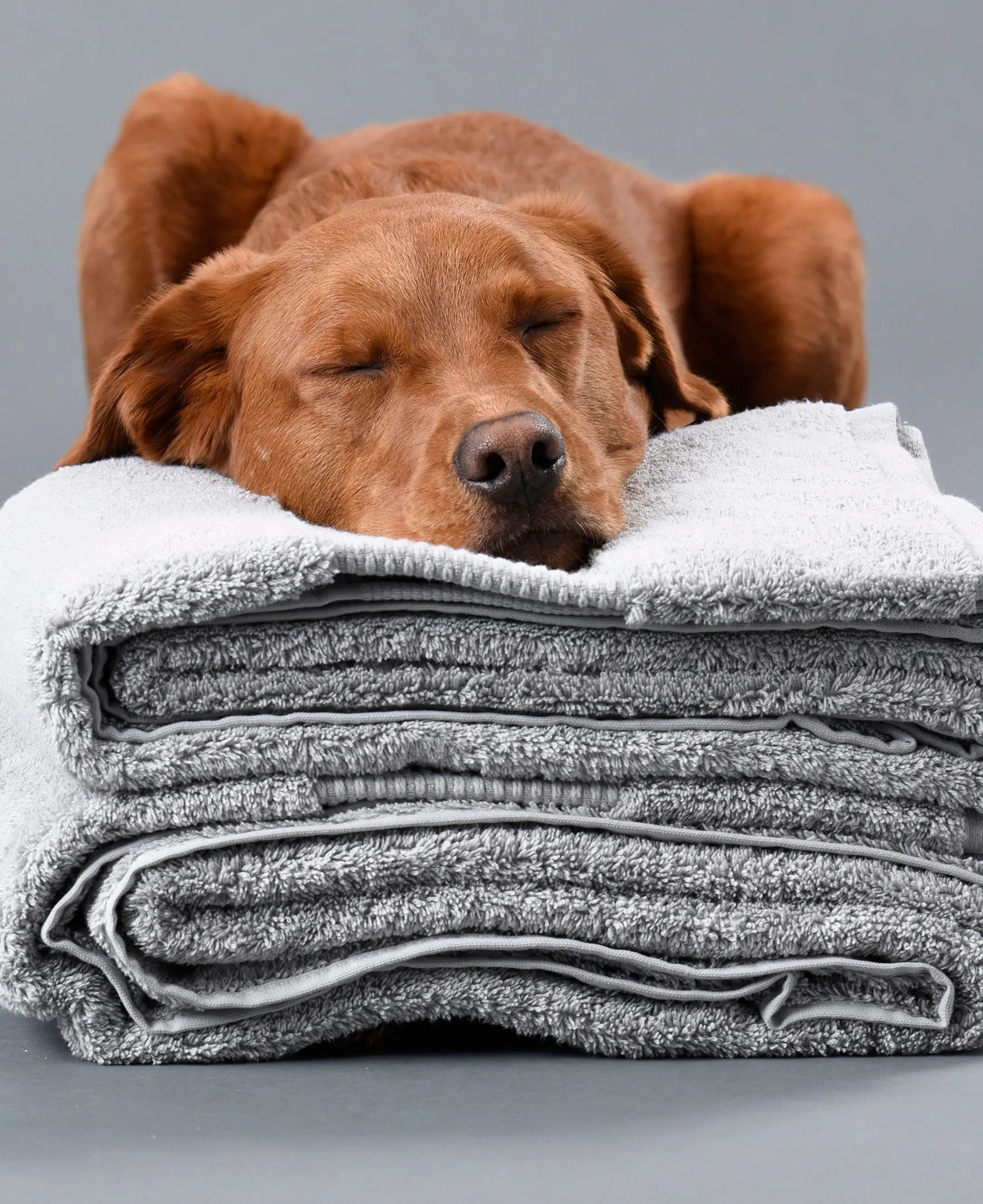 100% Organic Cotton Bath Towels Collection Delilah Home
