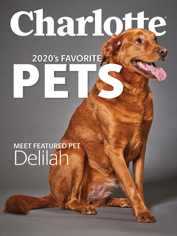 Delilah selected as Charlotte Magazine Pet of the Year