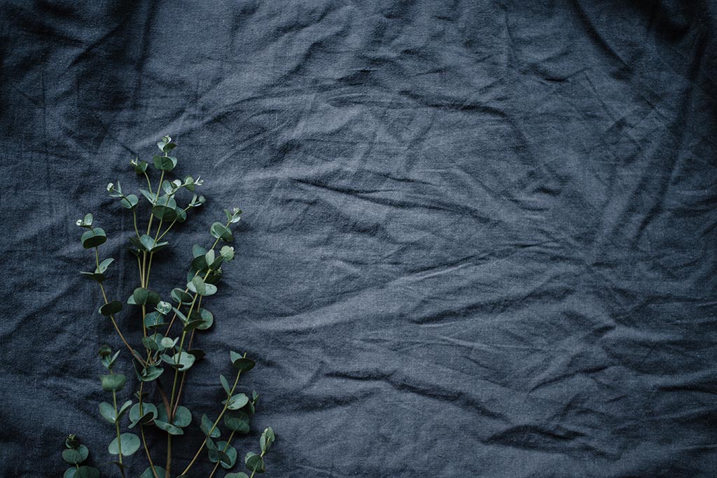 eucalyptus bed sheets