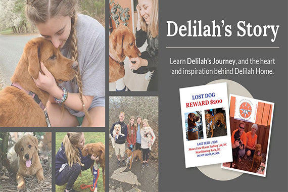 Delilah's Second Gotcha Day!