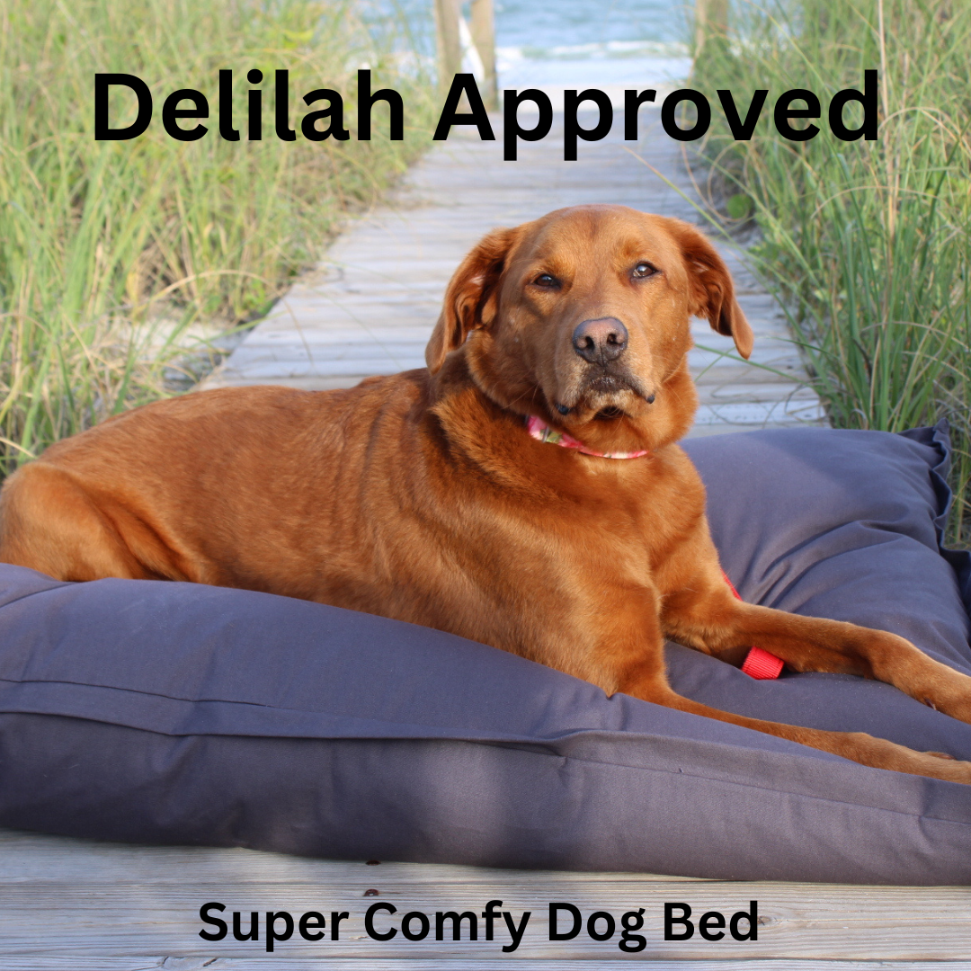 Delilah Home Pet Beds