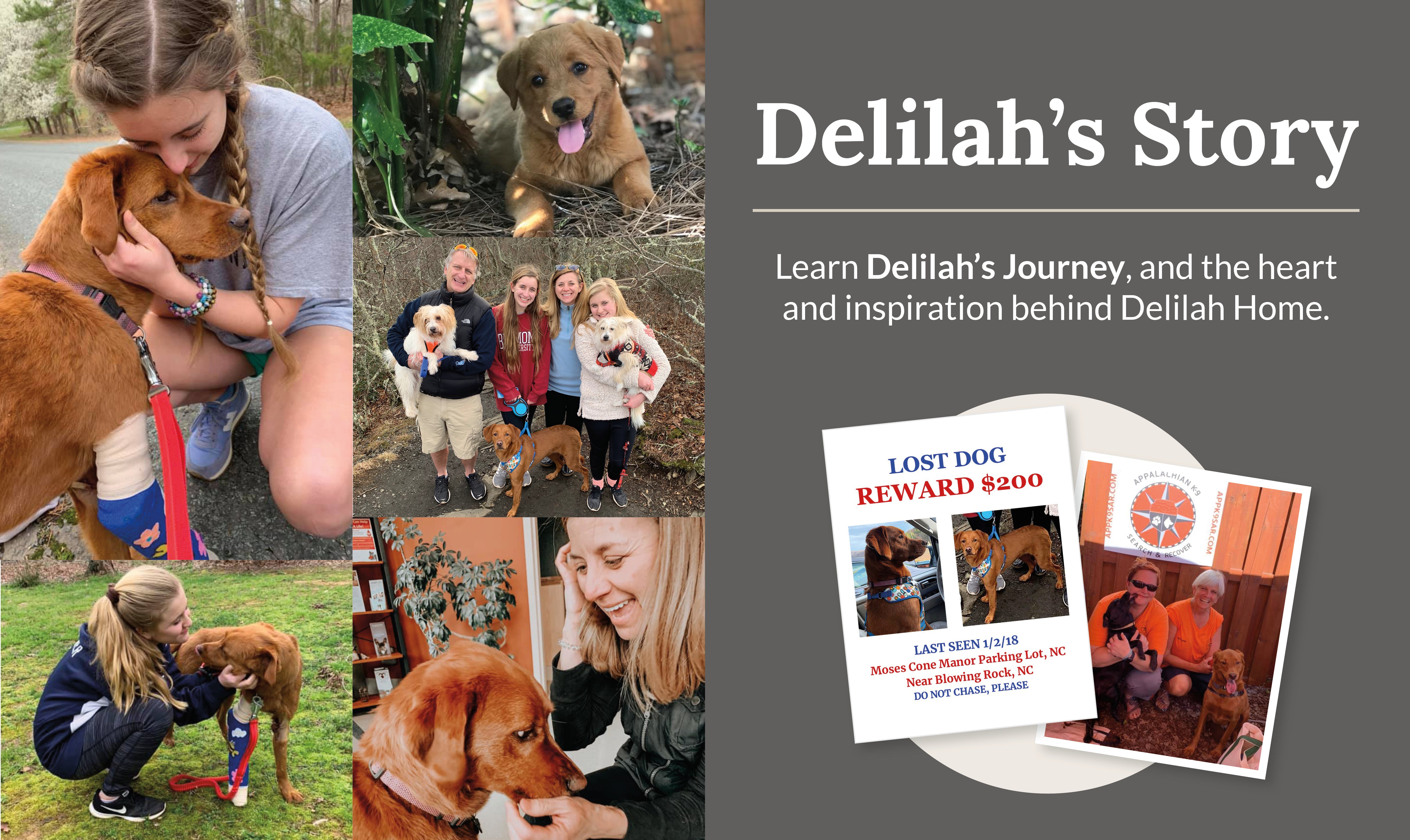 Delilah's story